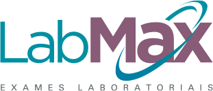 logo-labmax